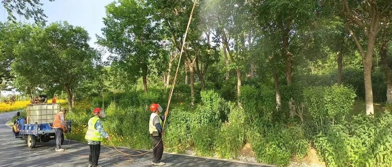 聚焦病虫害防治！为辛安河公园生态安全“加码”