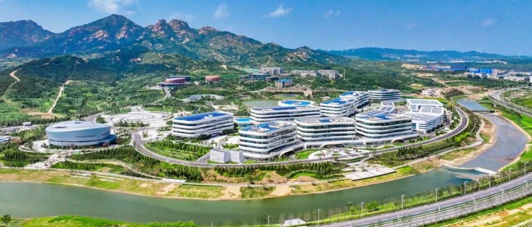 品牌总价值达636.7亿元！烟台黄渤海新区3家企业入选国家级品牌榜单