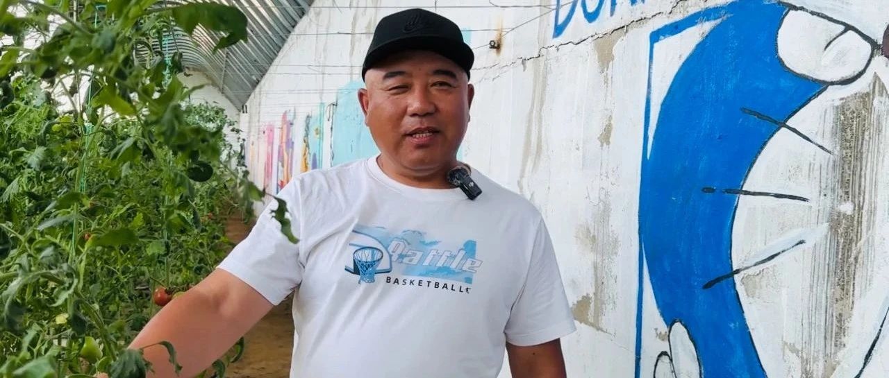 新农人 兴乡村｜曲永政：金村“红薯经济” 蹚出乡村振兴新路径