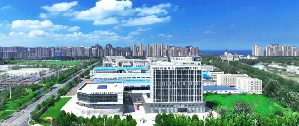 烟台黄渤海新区：赋能新质生产力，金融活水奔涌向“新”