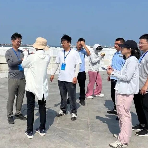 980万只蟹苗放流辛庄海域，招远市持续绘就海洋生态保护新图景