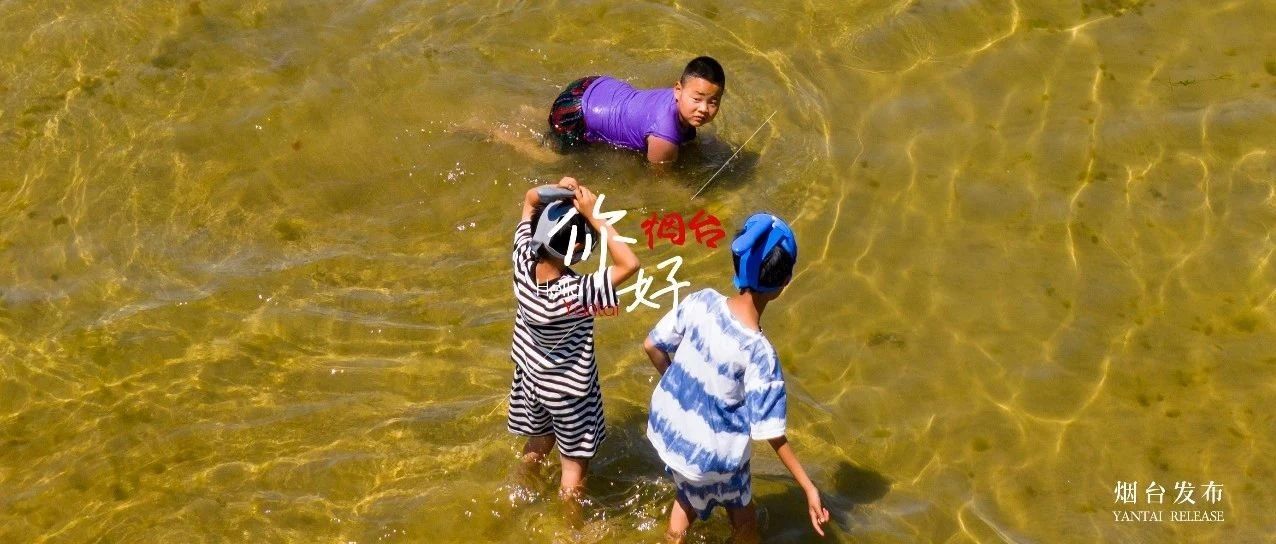 【你好  烟台】烟台的海，藏着最快乐的童年