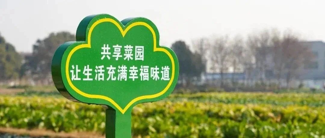 莱山沃野“织锦绣”，都市田园“种”幸福