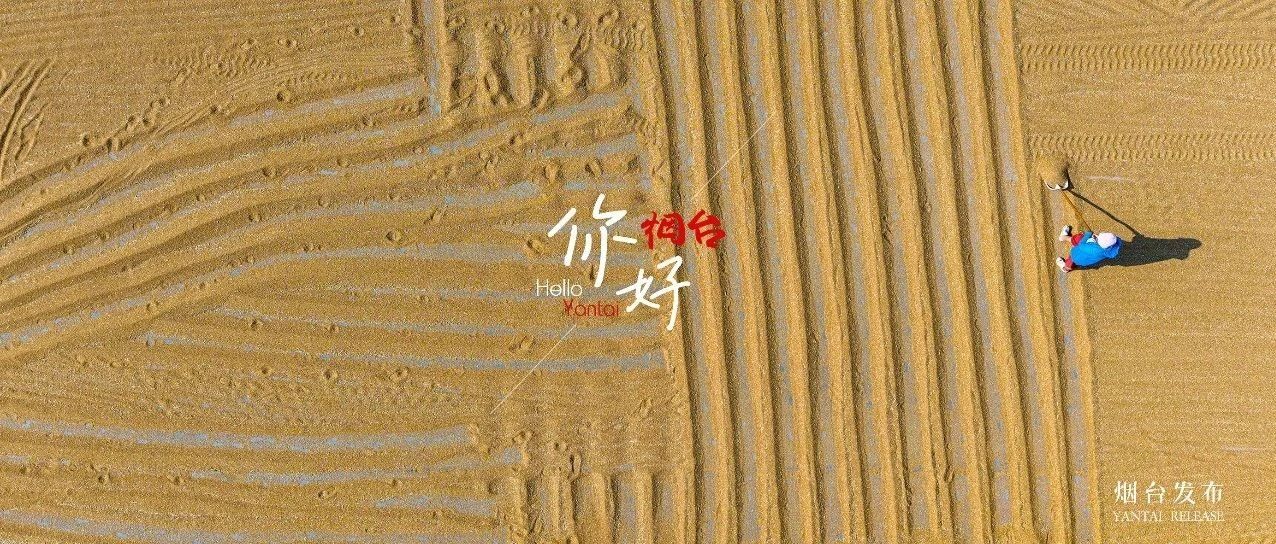【你好  烟台】这一份夏日限量版的金黄，太治愈了！