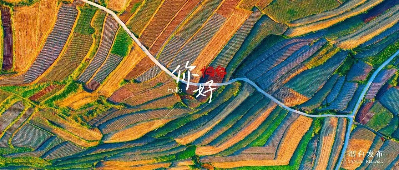 【你好  烟台】烟台这片“大地调色盘”，美到犯规！