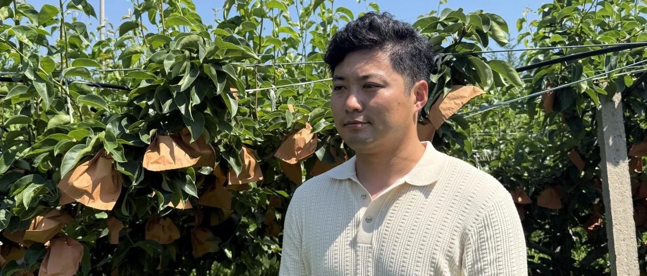 新农人兴乡村｜张厚彬：梨园里绘就乡村振兴的“甜蜜画卷”