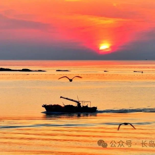 【发现长岛】