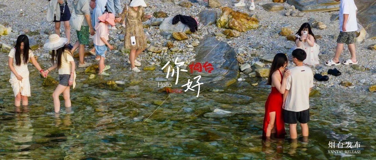 【你好 烟台】藏不住了！烟台这片“果冻海”果然名不虚传！