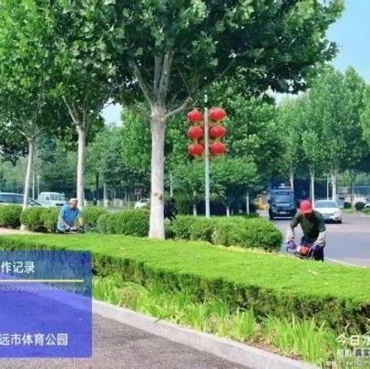 招远市综合行政执法局园林中心多措并举守护城市绿意