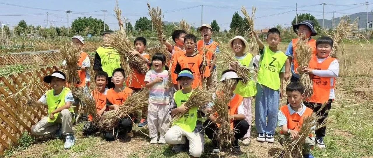 烟台这个宝藏遛娃地藏太深！红色研学、收割海水稻、看萤火虫……