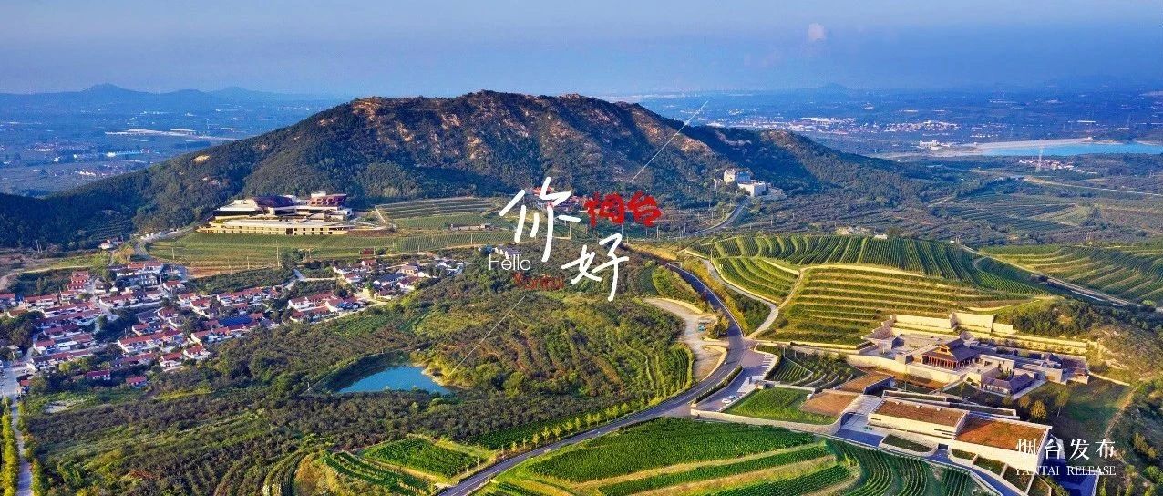 【你好  烟台】烟台葡萄酒的“黄金葡园”，美到开挂！