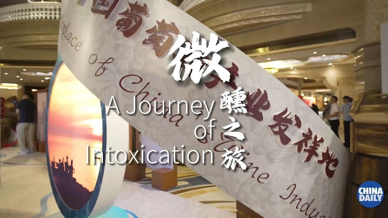视听山东｜这里是烟台·微醺之旅