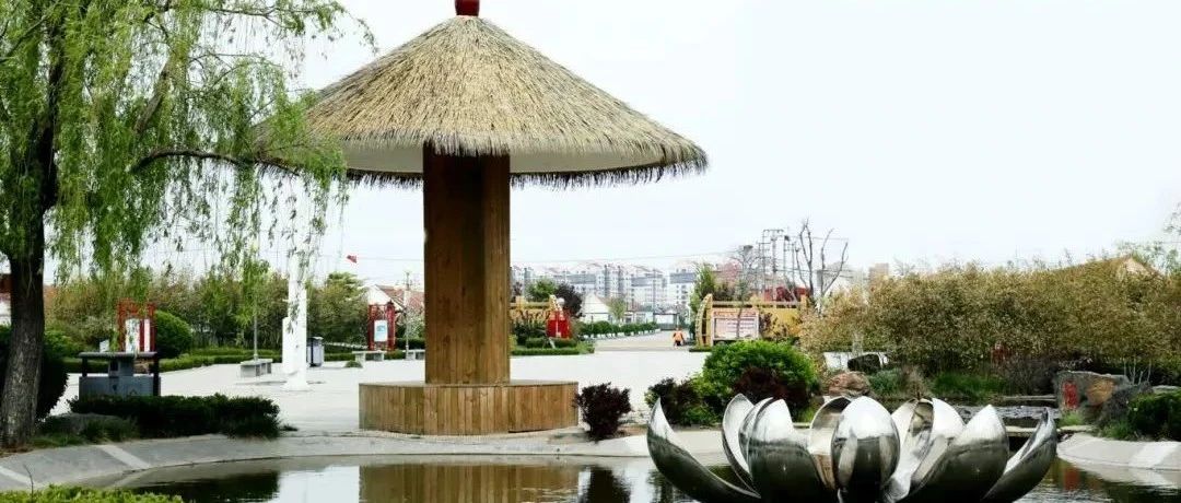 “养成系”文明村镇！莱州这个村如今变身“六边形战士”！