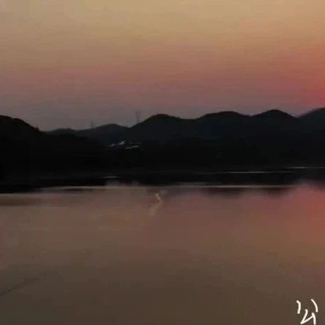 白鹭为邻、荡舟耕作！栖霞这个“胶东桃花源”藏不住了