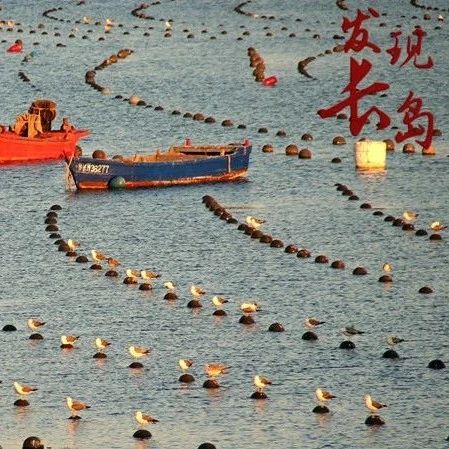 【发现长岛】