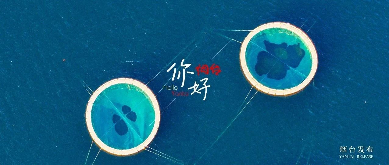 【你好 烟台】蓝色大海的“甜甜圈派对”！