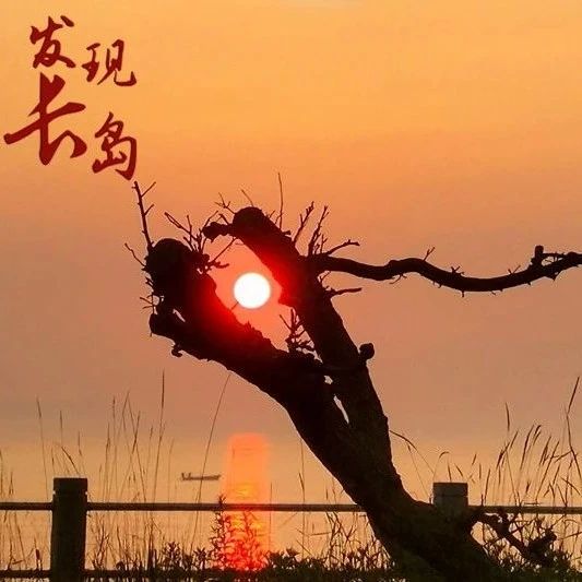 【发现长岛】