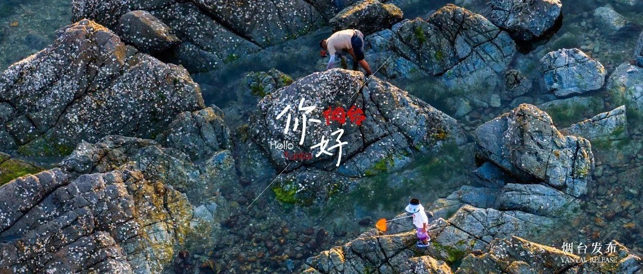 【你好 烟台】这片海，正把快乐“赶”上岸！