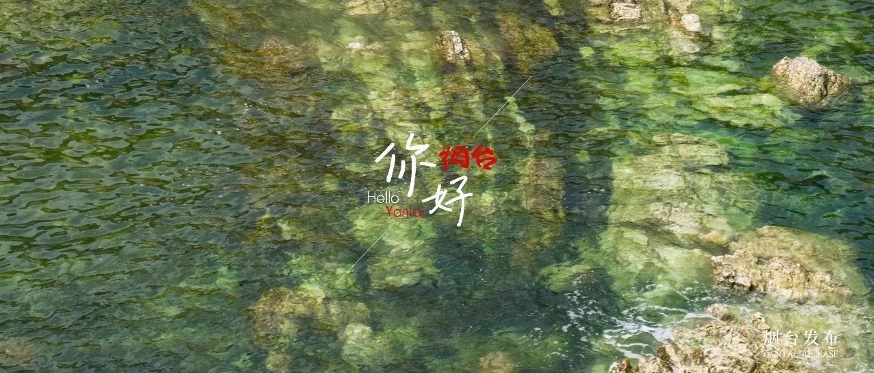 【你好 烟台】就在烟台，这片“果冻海”也太美了！