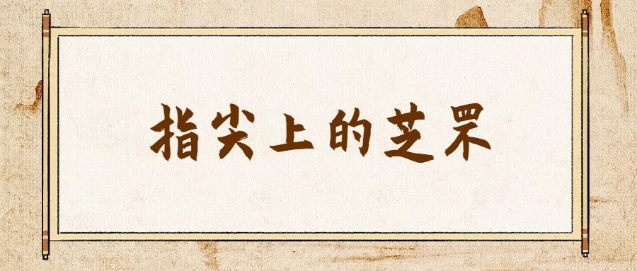指尖上的芝罘！一起感受首届手造工匠技艺传承展……