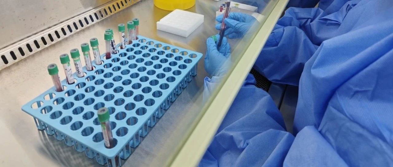 烟台高新区首次运用IGRA开展结核筛查