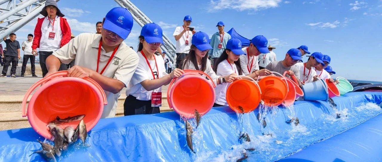 356万尾苗种游向大海！第六届中韩联合增殖放流活动在烟台黄渤海新区举行