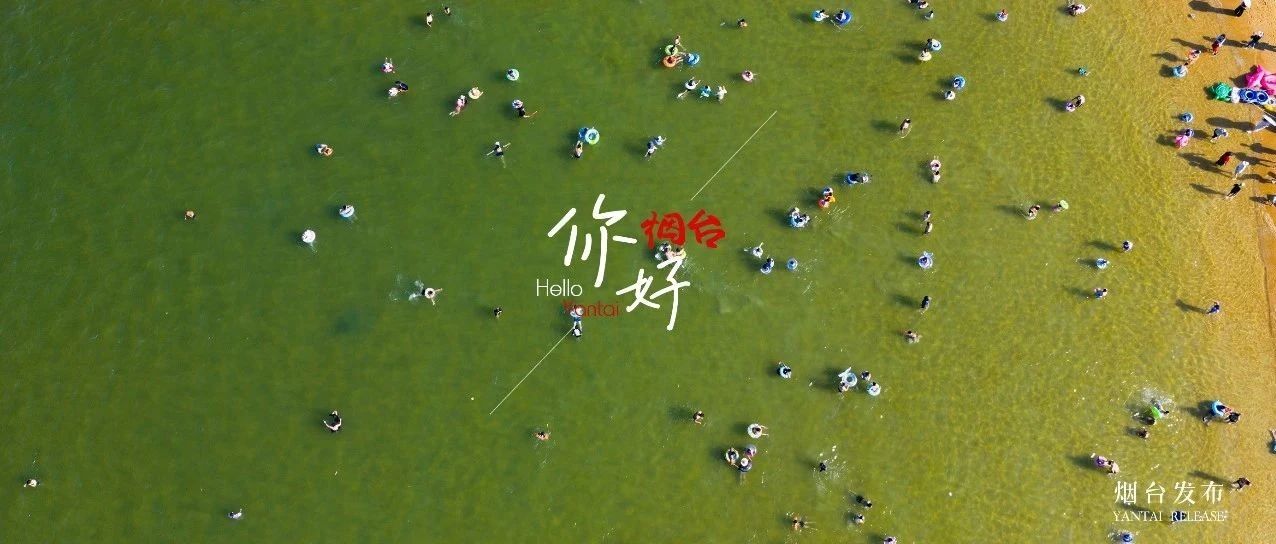 【你好 烟台】烟台的海，被“人从众”占领啦！