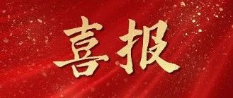 一等奖！烟台市社会救助综合服务中心斩获“数据要素 ×”烟台市选拔赛一等奖并晋级省赛
