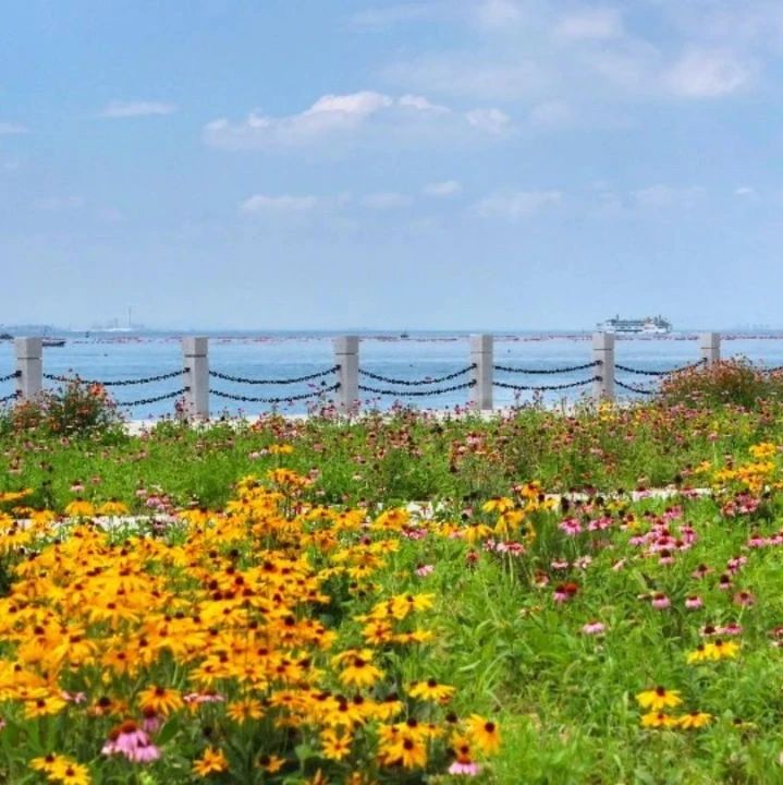【发现长岛】