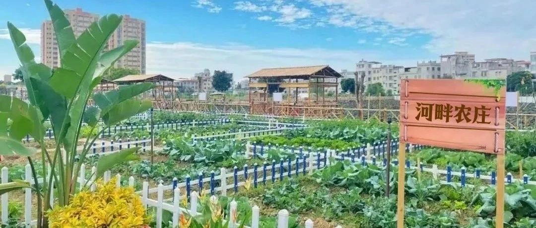 福山60㎡田园待认领！夹河茶歇配套，解锁“城五农二”惬意生活