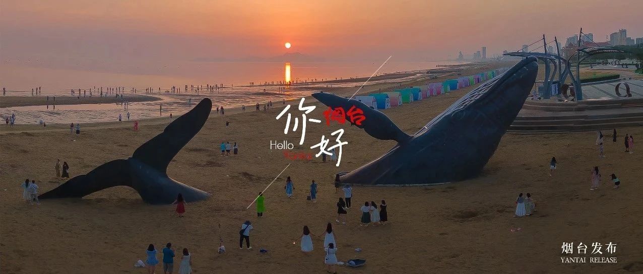 【你好 烟台】“孤独的鲸”，并不孤独~