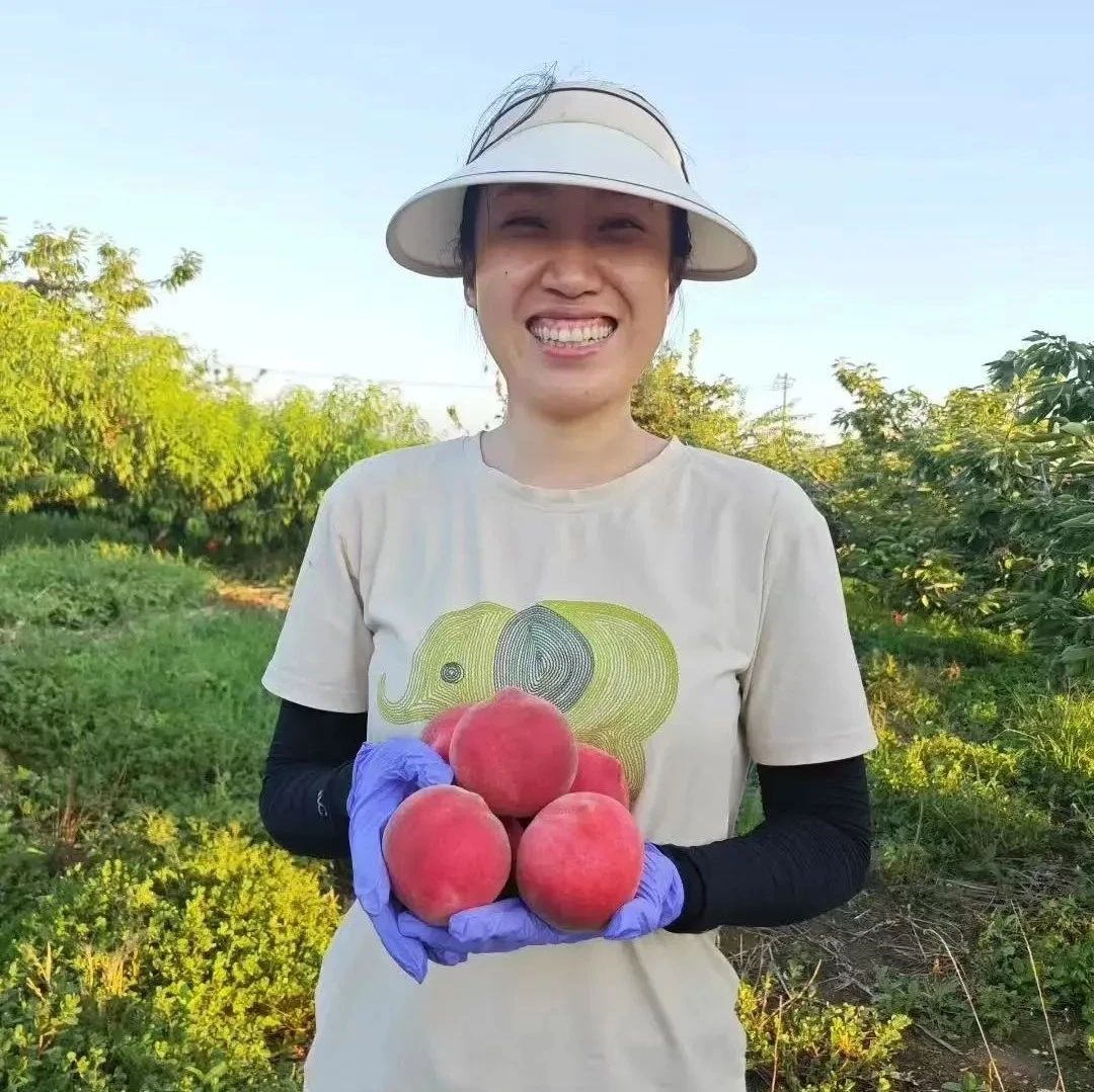 从格子间到田垄间，这位莱州“90后”新农人的直播间“甜”出圈！