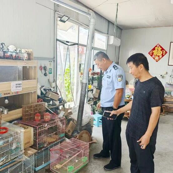 陆上查、野外巡！招远市上下联动护飞鸟，多措并举筑蓝天生态屏障