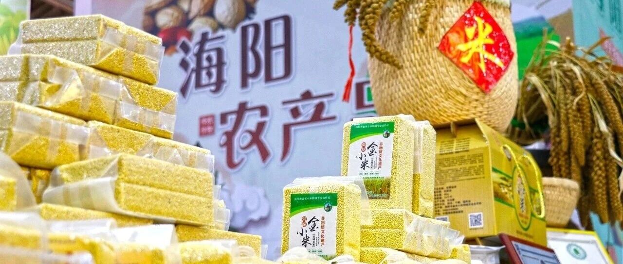 共绘乡村振兴新画卷——海阳山海同庆好“丰”景