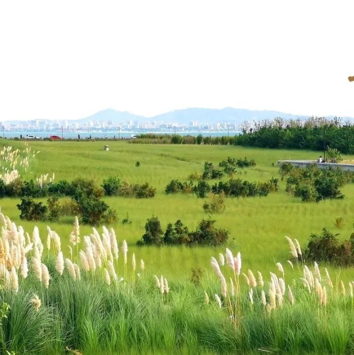 【发现长岛】