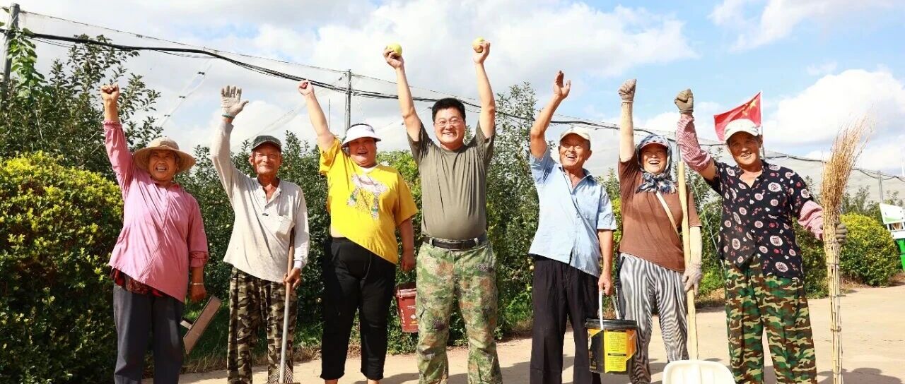 给苹果“敷面膜”？来看看臧家庄镇前法卷村的苹果“变形记”→
