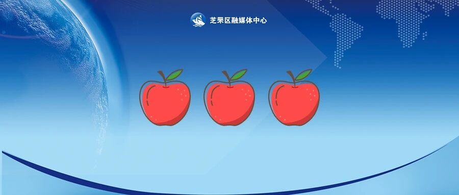 阴雨连绵，苹果如何“完美收官”？芝罘区果农请收好这份攻略