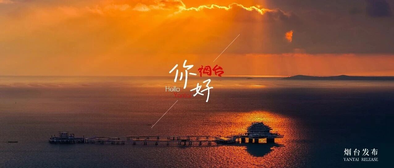 【你好 烟台】看！仙境的海，会发光！