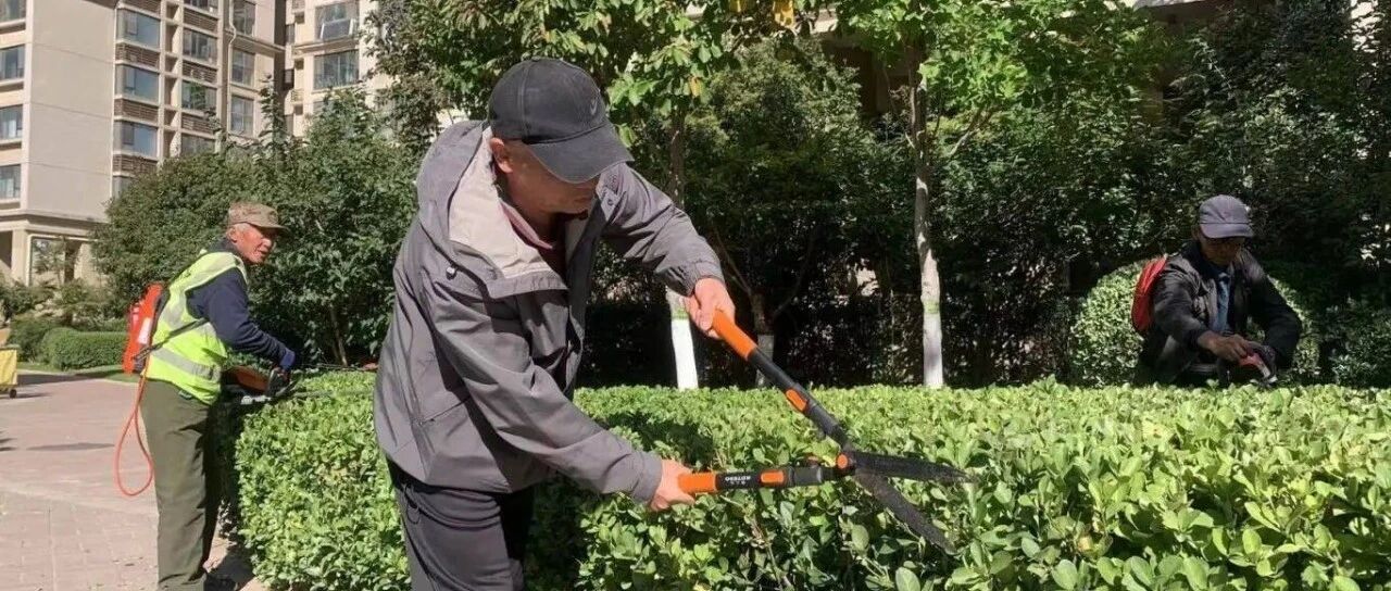 服务升温！莱山城管“变身”社区贴心人