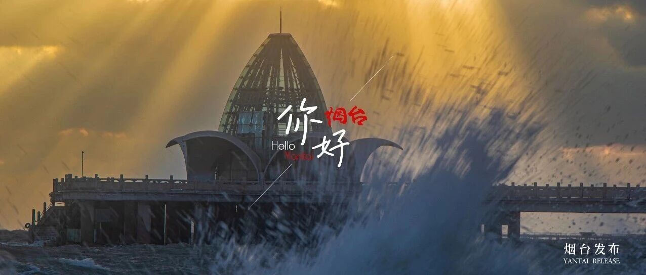 【你好 烟台】来烟台，观“双向奔赴”之美