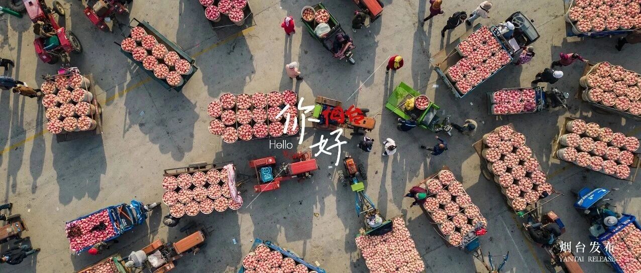 【你好 烟台】红了！请接收北纬37°的甜蜜告白！