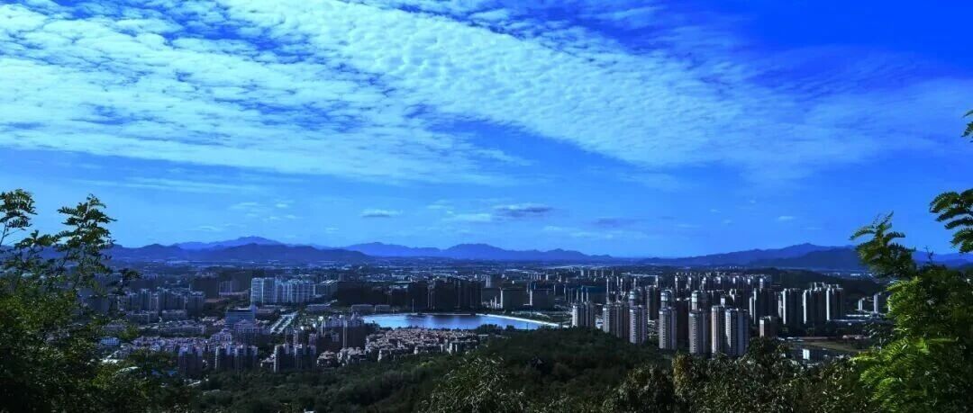 莱山区初家街道“镜彩初家”摄影大赛作品展示