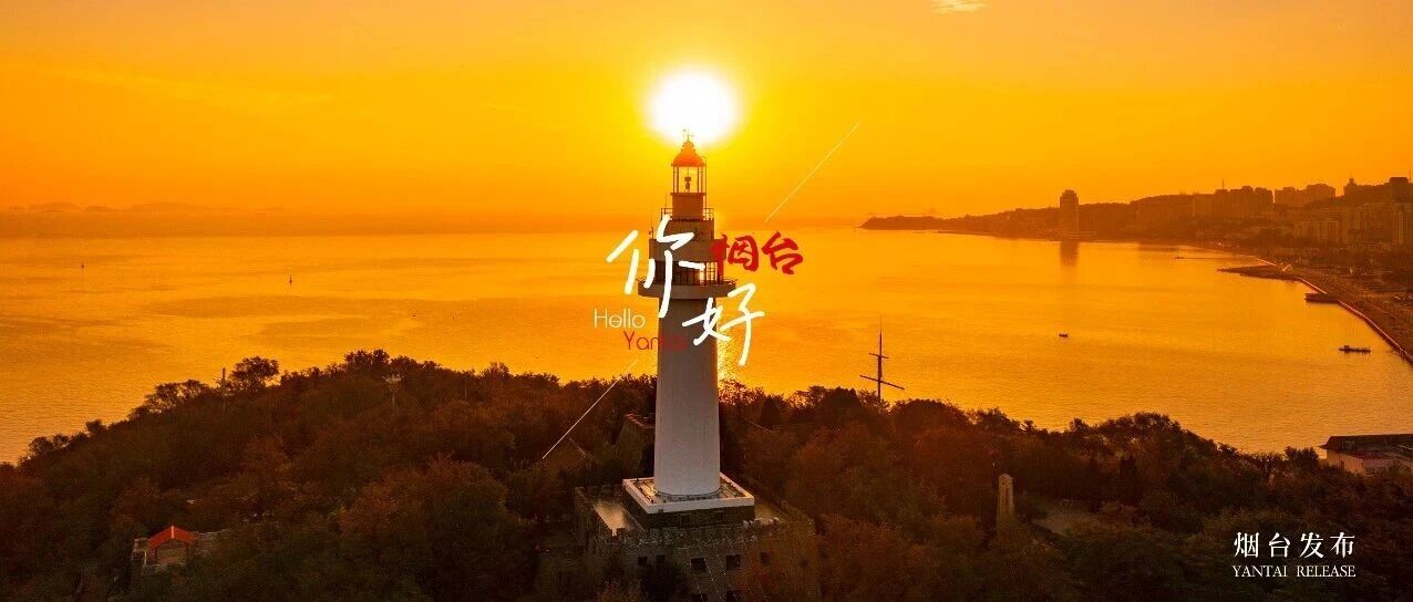 【你好 烟台】被烟台的这片“金色”治愈了！
