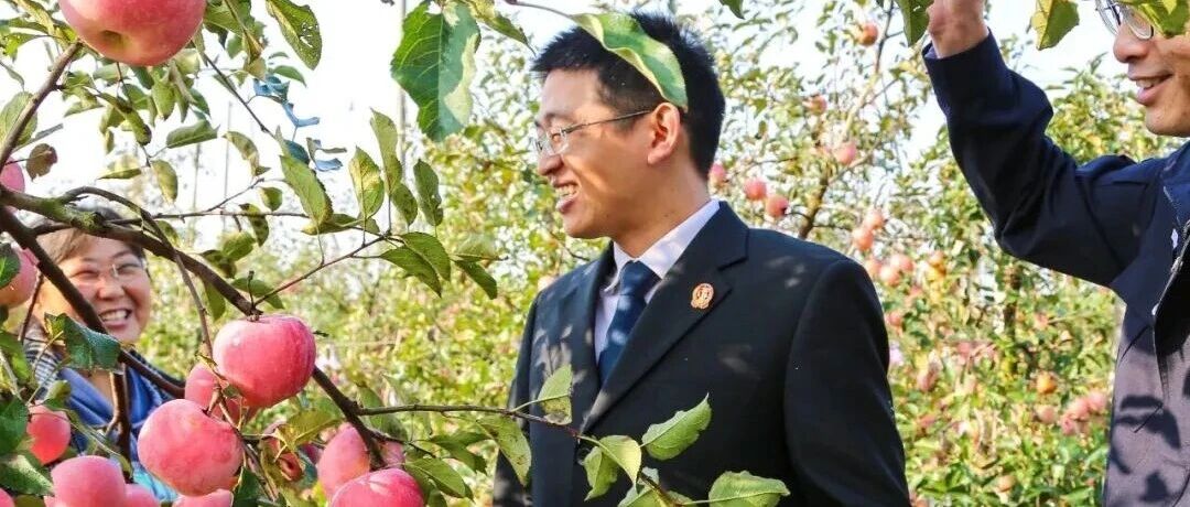 栖霞市法院：“苹果法庭”，让红苹果成为老百姓的金苹果