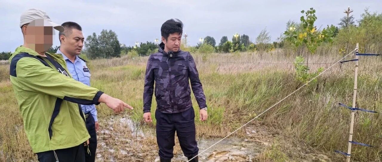 莫让天籁成绝唱，非法捕鸟进班房！