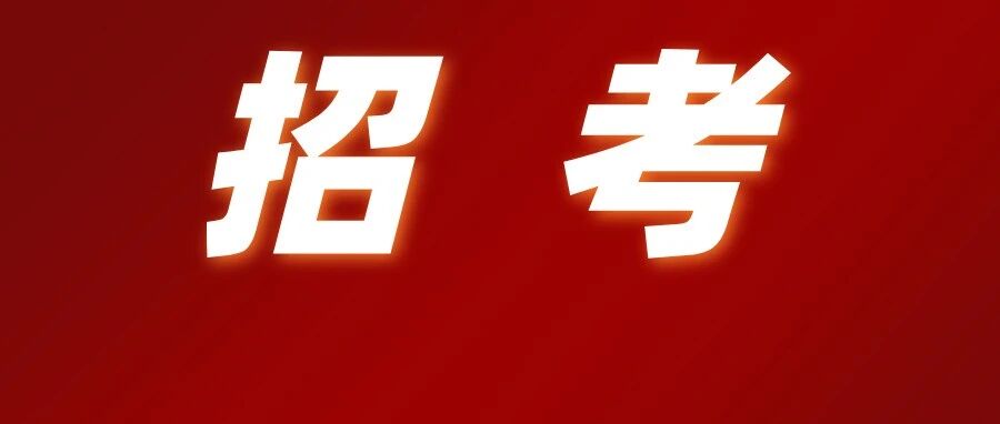 11月7日开始报名→烟台法院招61人！