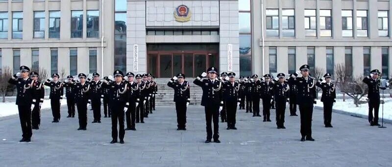 长岛综合试验区严抓社会治安治理，护航社会和谐稳定