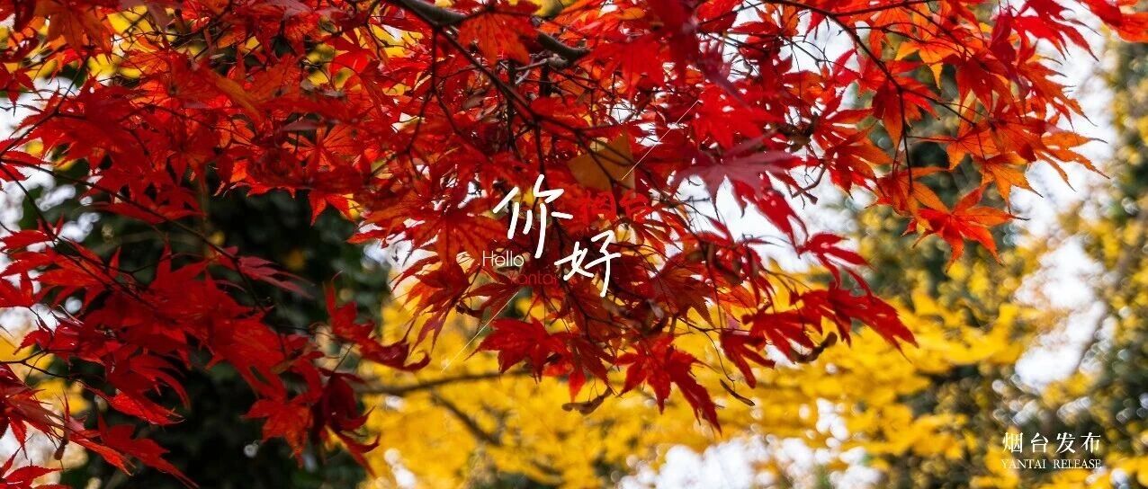 【你好 烟台】今天，宜“收藏”！