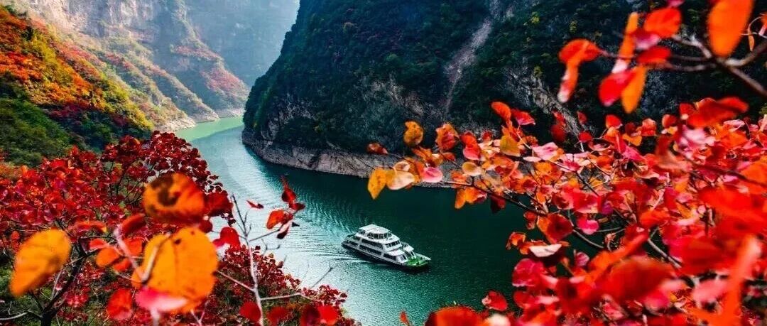 一段山海情，相约十四载！