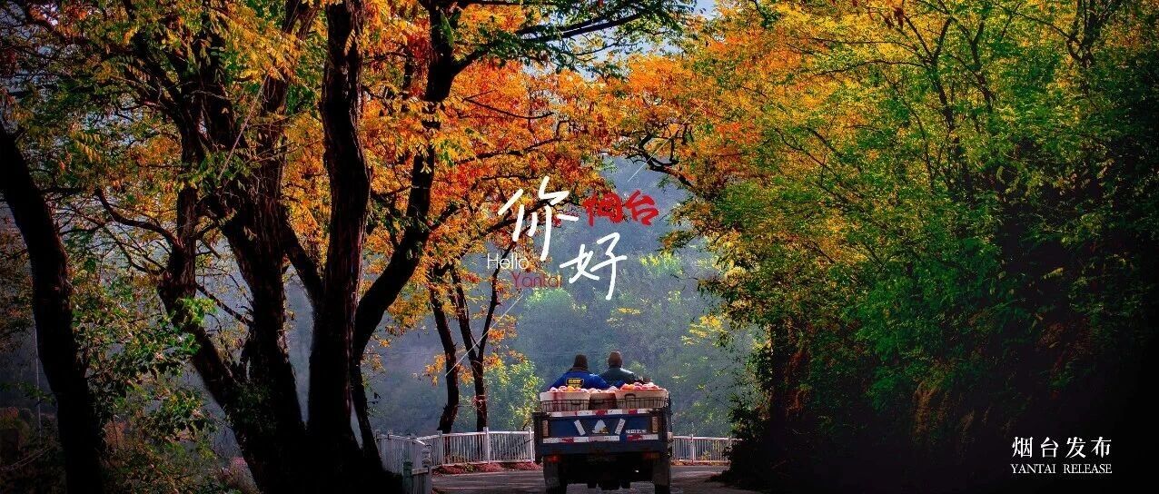 【你好 烟台】下一站，甜蜜！